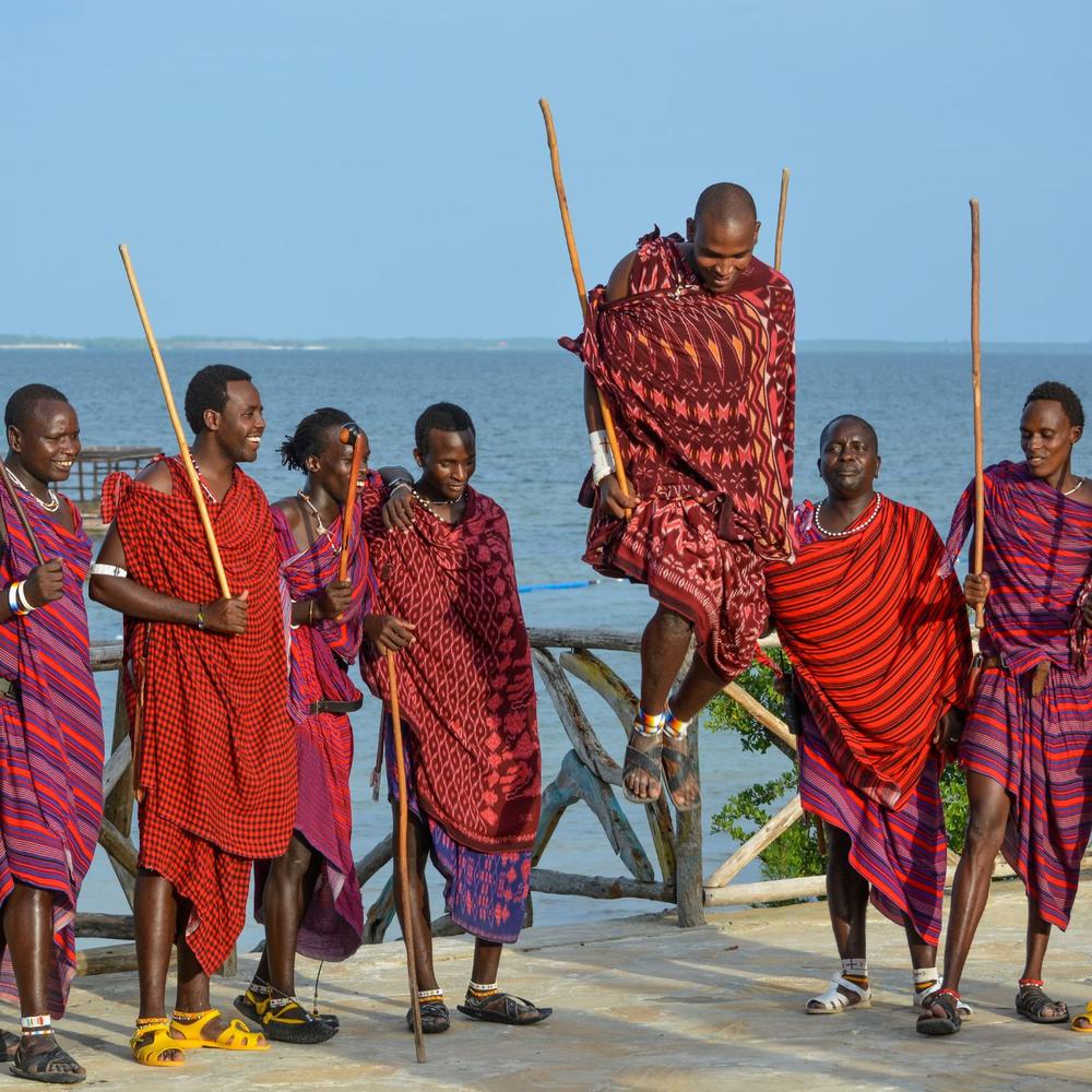 ARP Africa-item-2