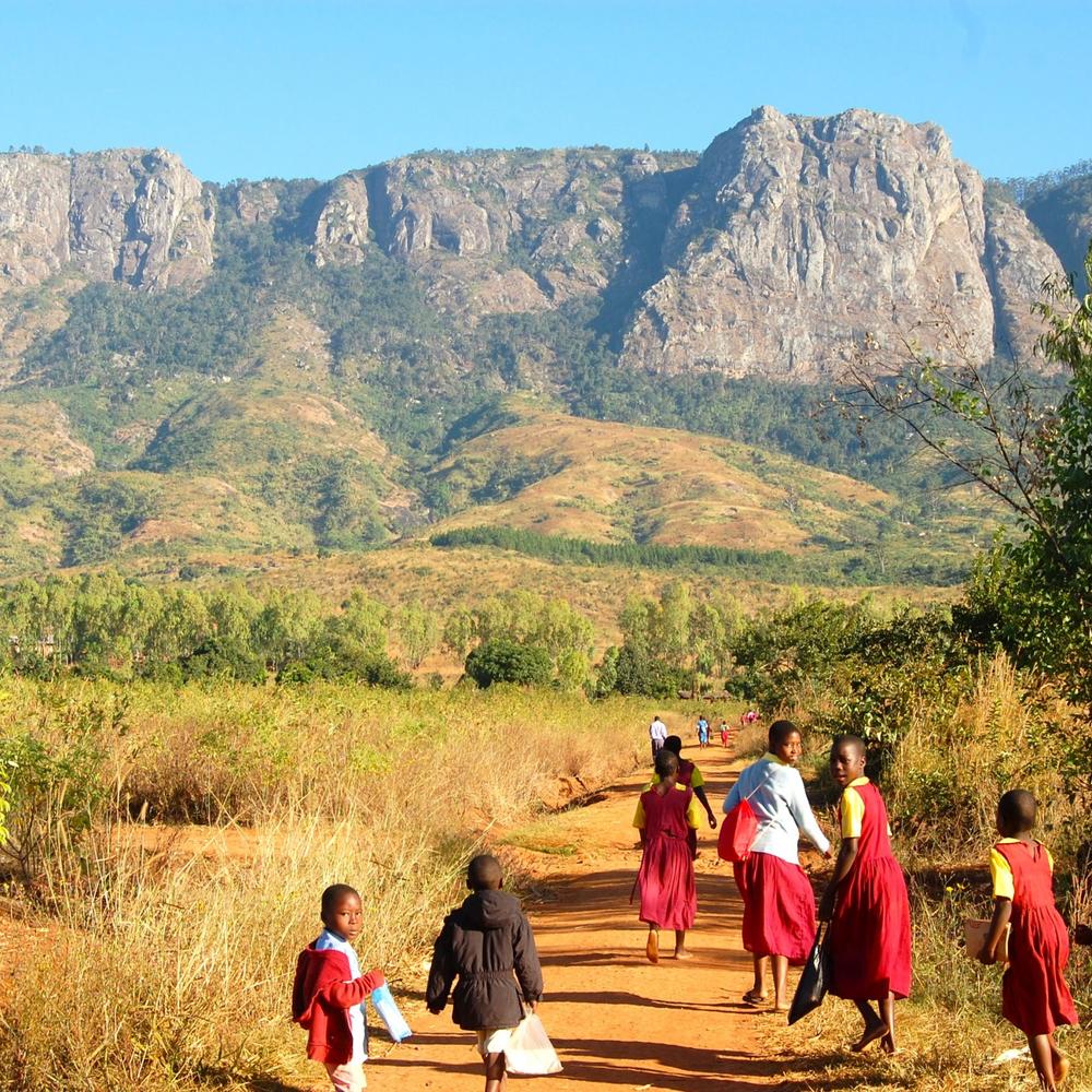Land & Lake Safaris-item-2