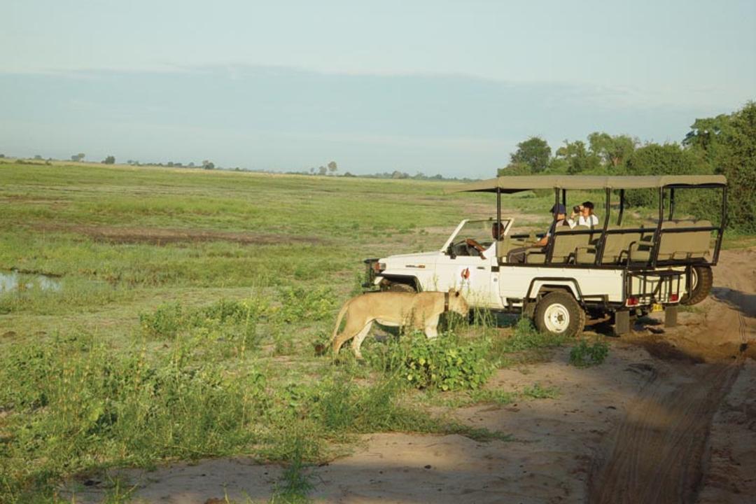 Chobe nationalparkimage - 0