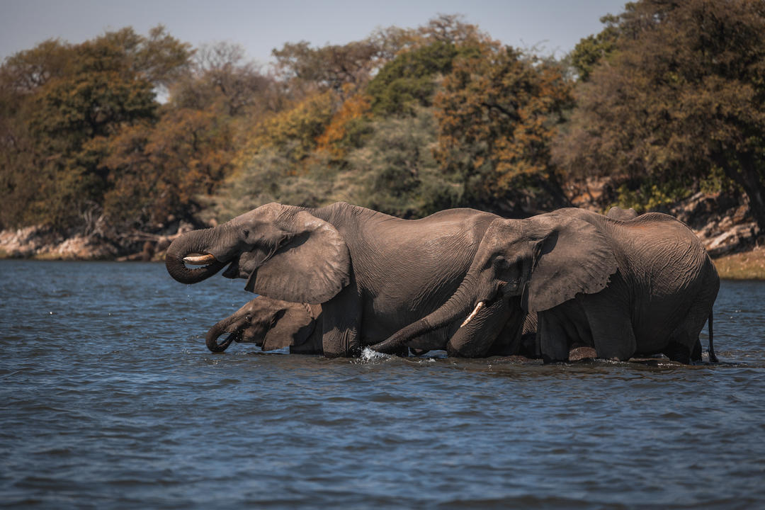 Caprivi Eastimage - 1