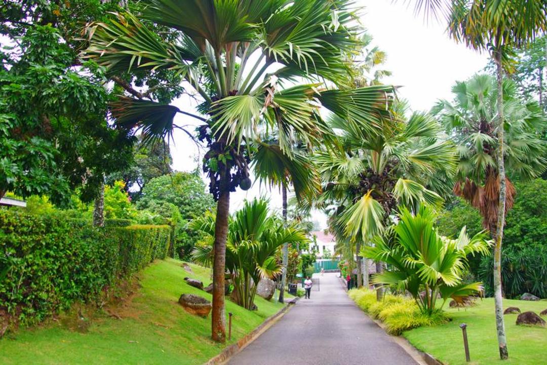 Mahe Islandimage - 0