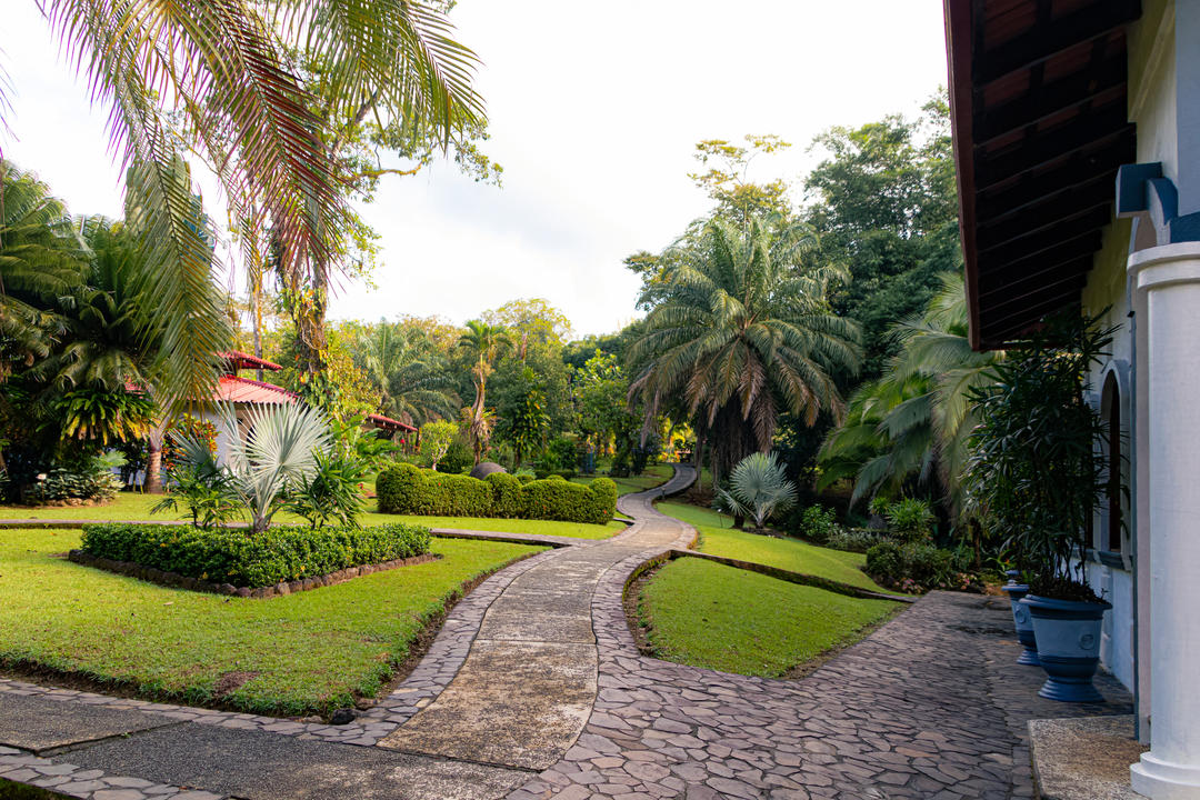 Osa Peninsulaimage - 1