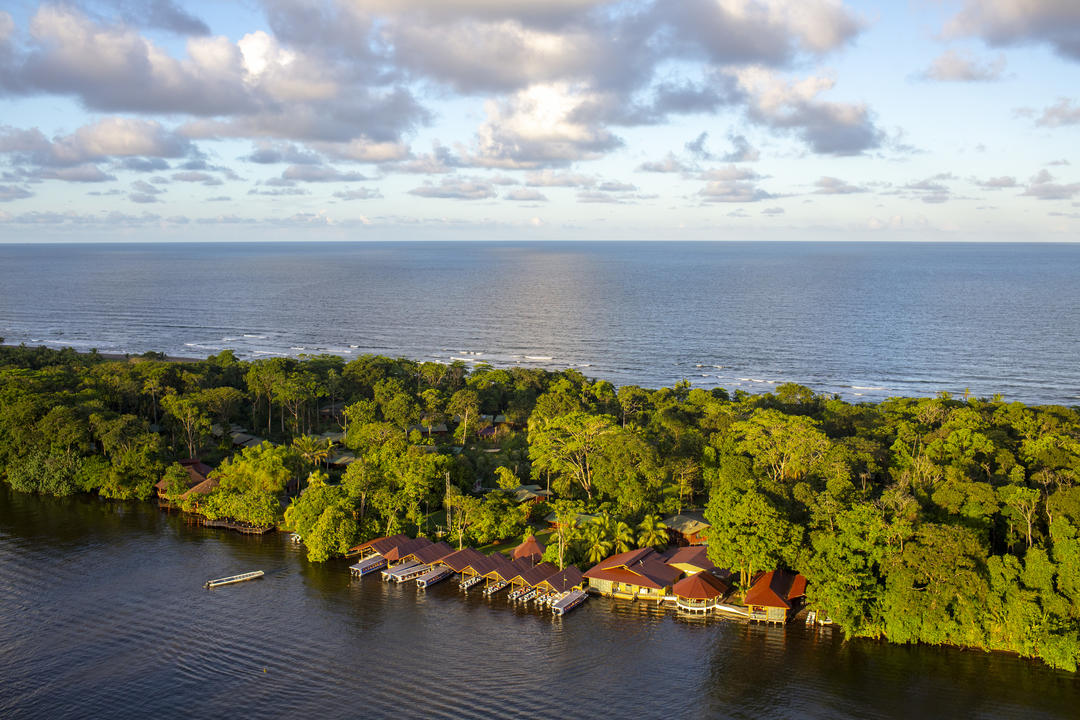 Tortugueroimage - 0