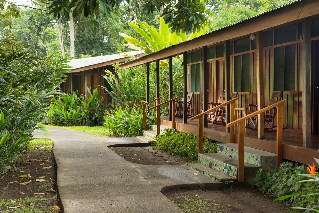 Tortugueroimage - 1