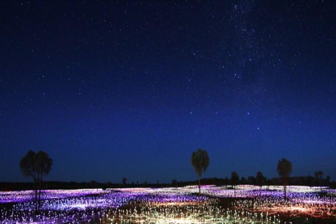 Field of Light och Ayers Rockimage - 1