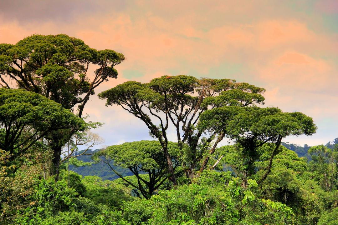 Puerto Maldonadoimage - 0