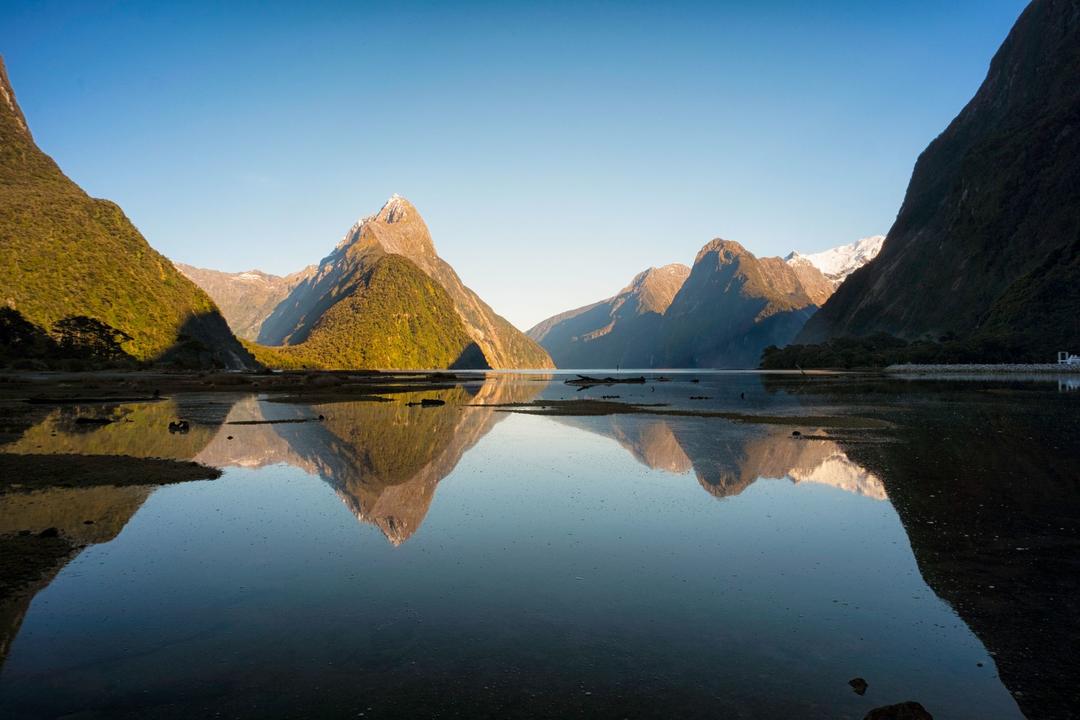 Wellingtonimage - 0