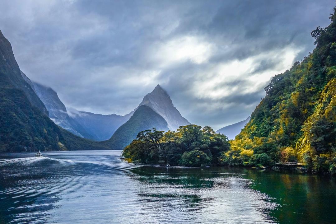 Wellingtonimage - 1