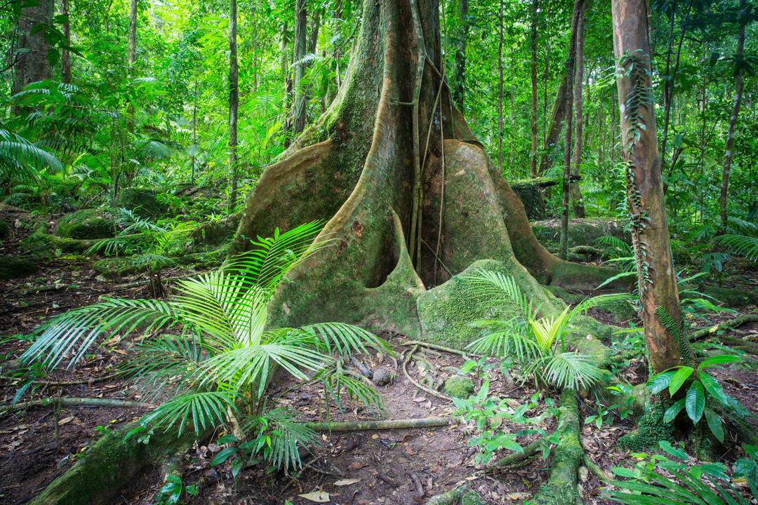 Port Douglasimage - 1