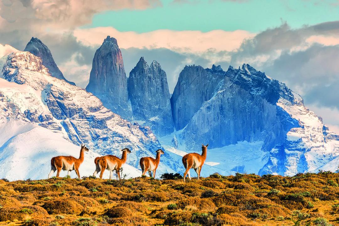 Torres del Paineimage - 0