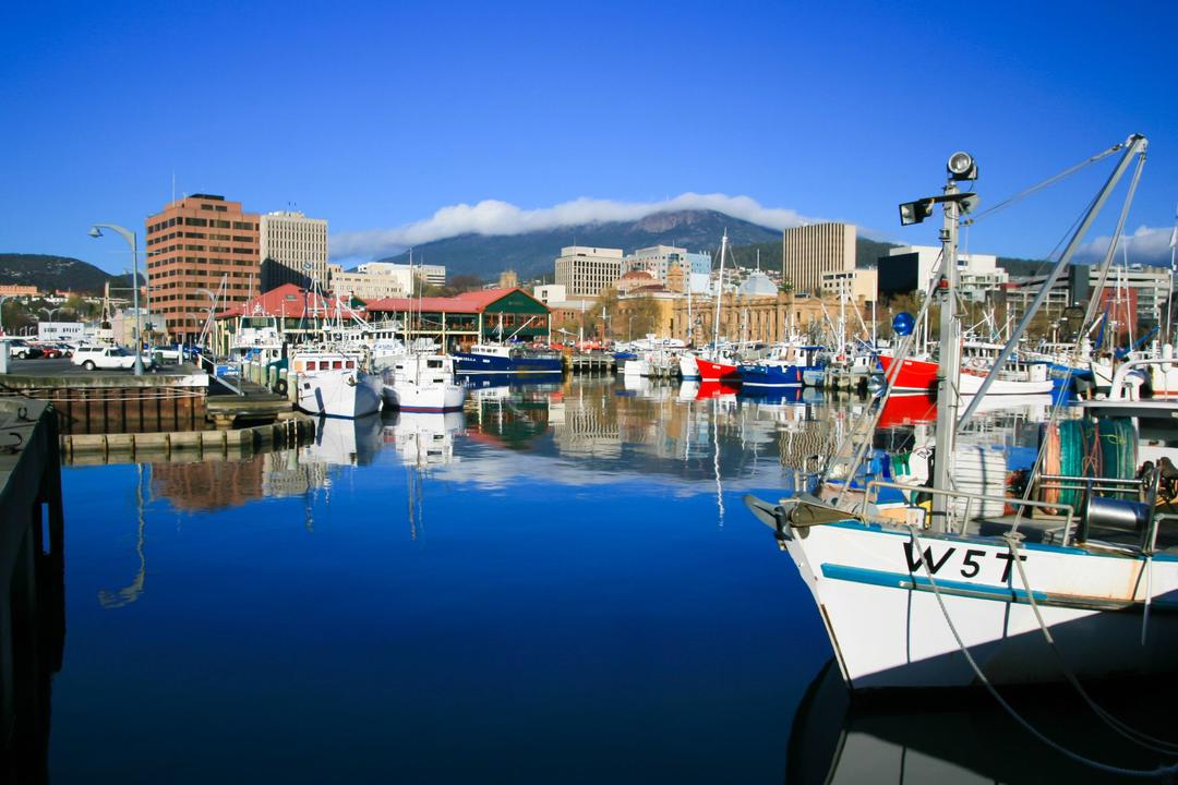 Wellingtonimage - 1