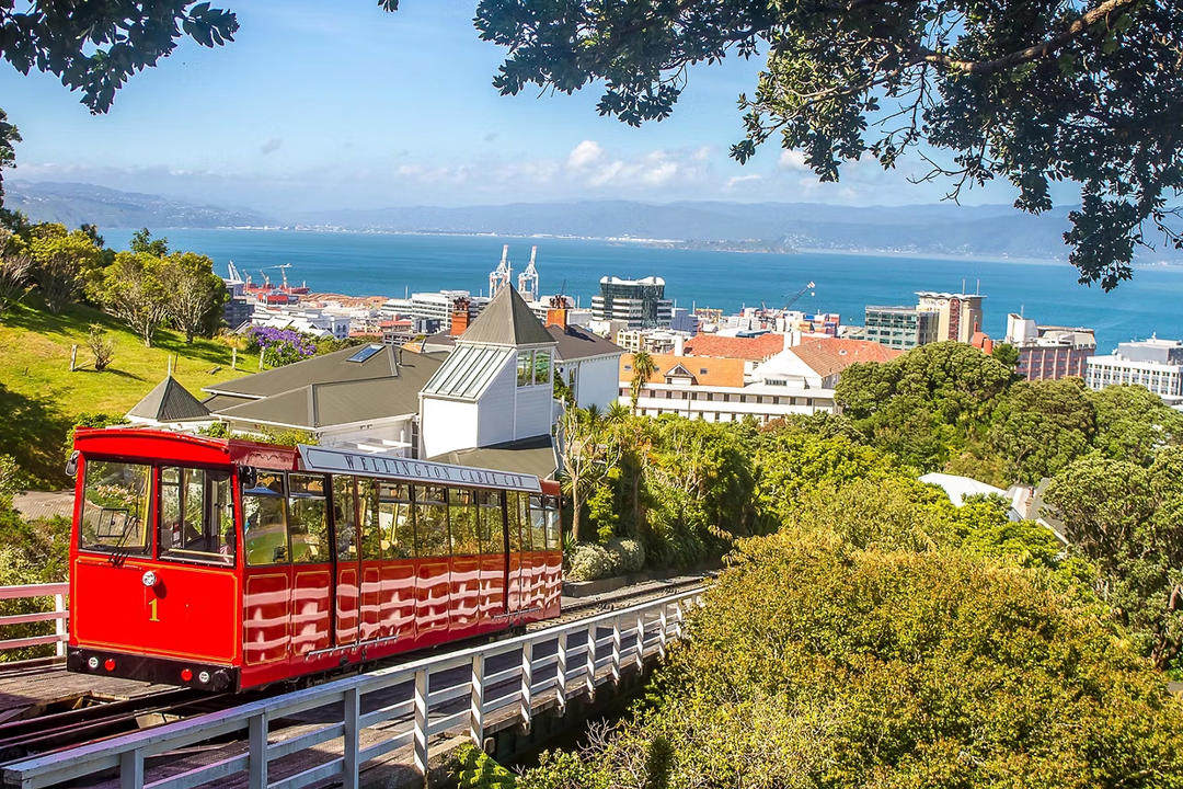 Wellingtonimage - 0