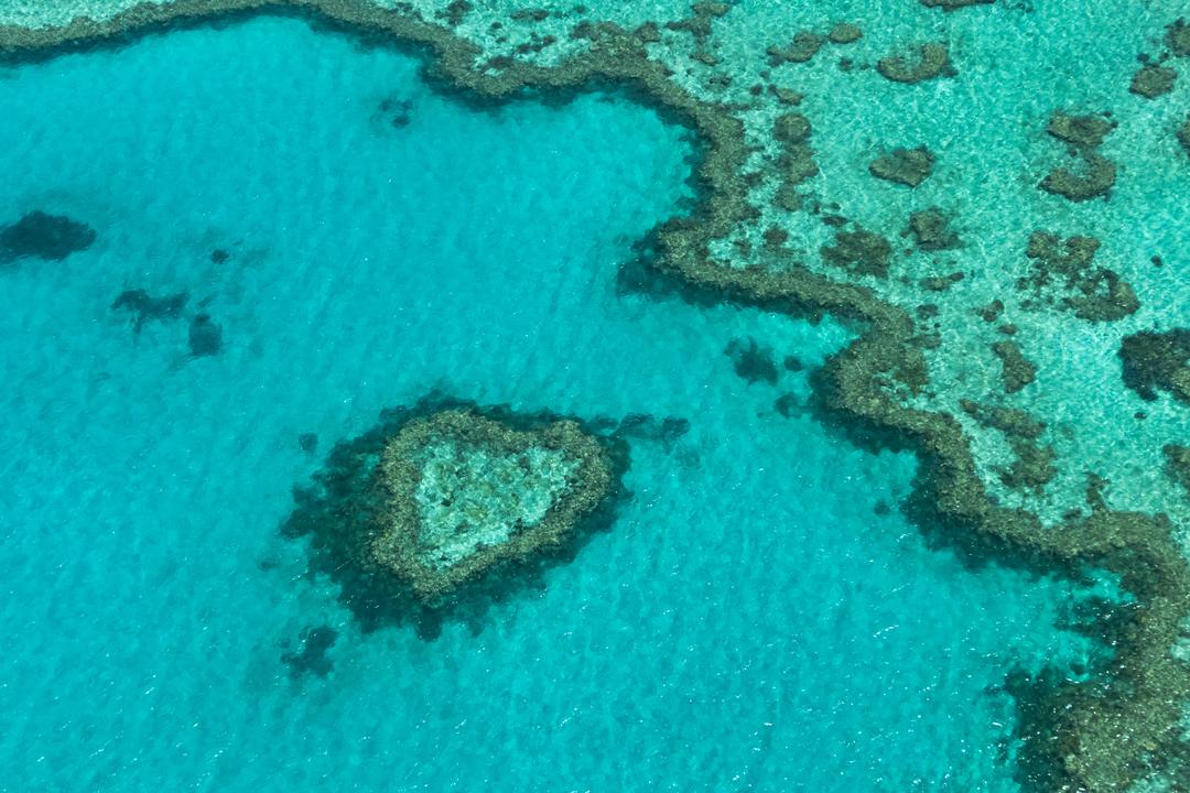 Airlie Beachimage - 1