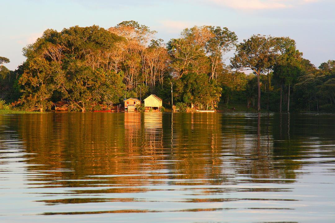 Amazon Basinimage - 1