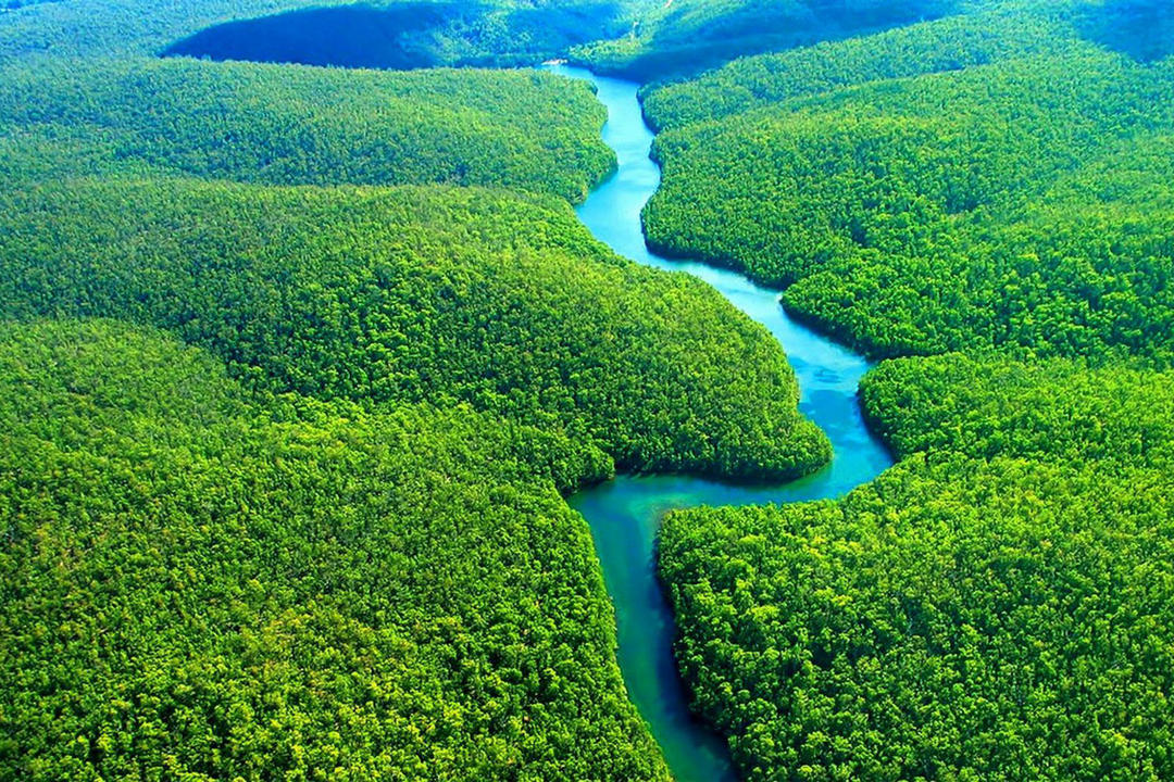 The Amazon Ecuadorimage - 0