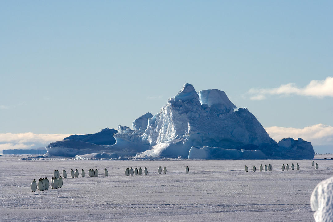 Antarctic Circleimage - 1