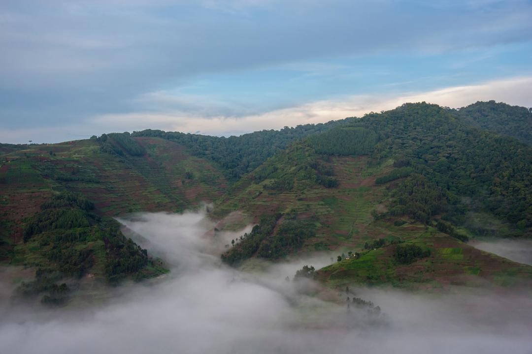 Bwindi Impenetrable Forest National Parkimage - 1