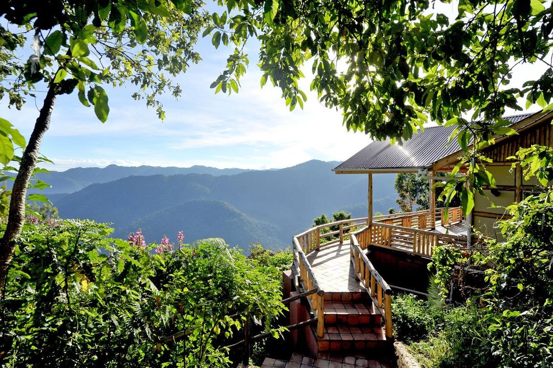 Bwindi Impenetrable Forest National Parkimage - 1