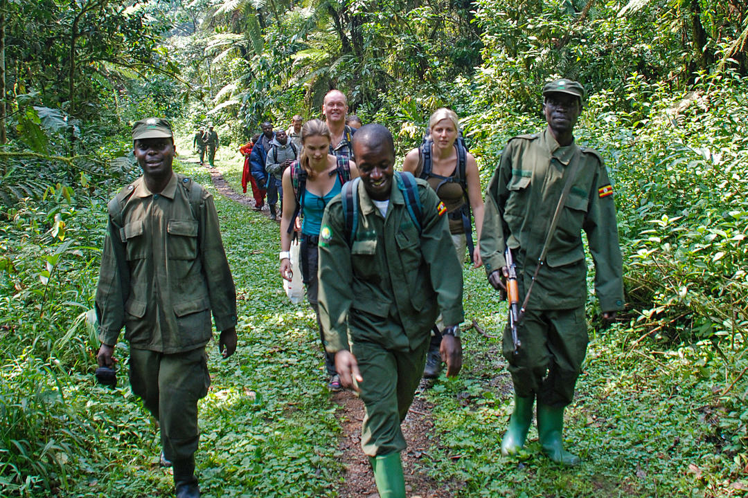 Bwindi Impenetrable Forest National Parkimage - 1