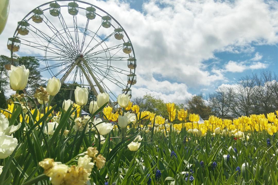 Canberraimage - 0