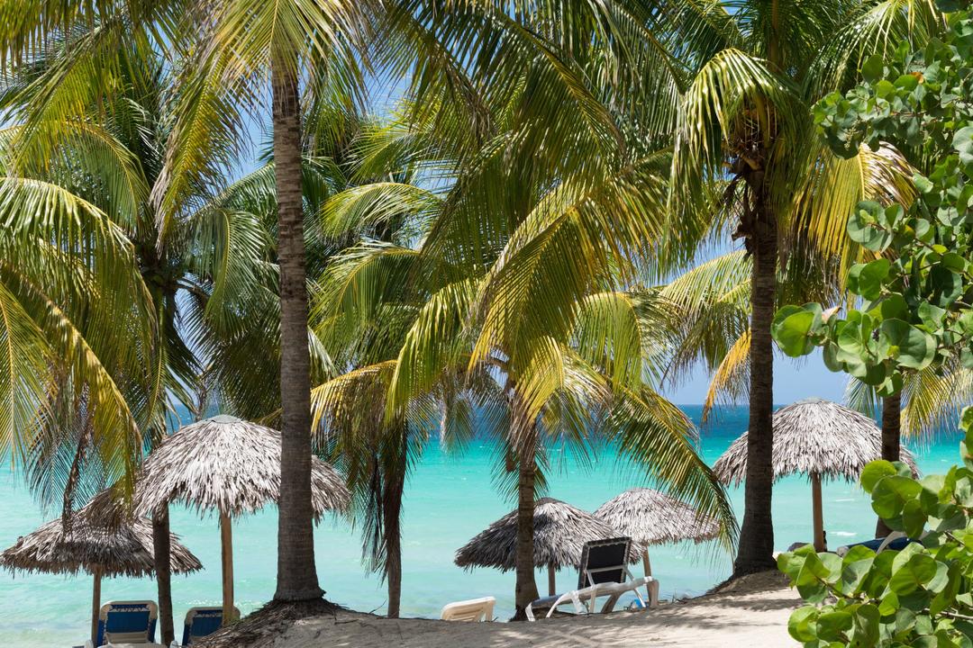 Cayo Cocoimage - 0