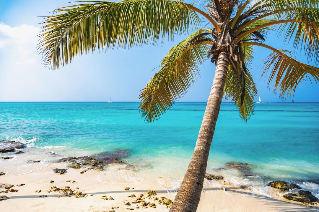 Cayo Cocoimage - 0