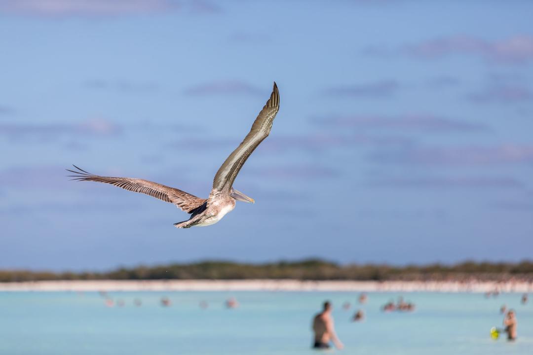 Cayo Cocoimage - 0