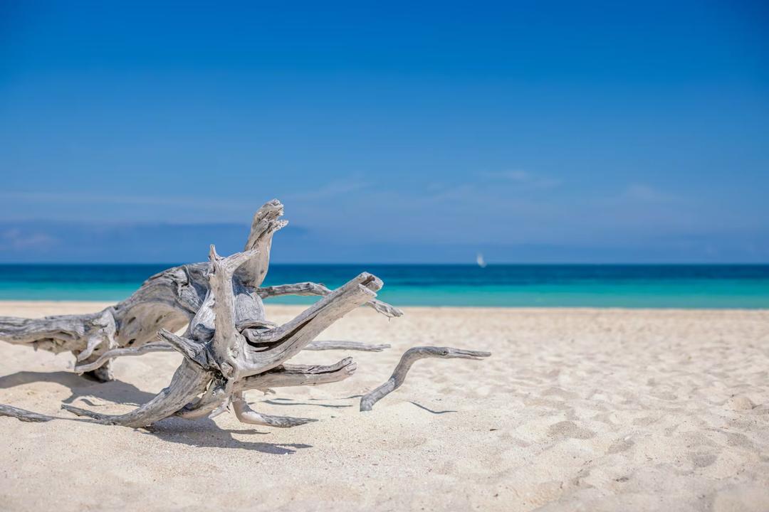 Cayo Cocoimage - 1