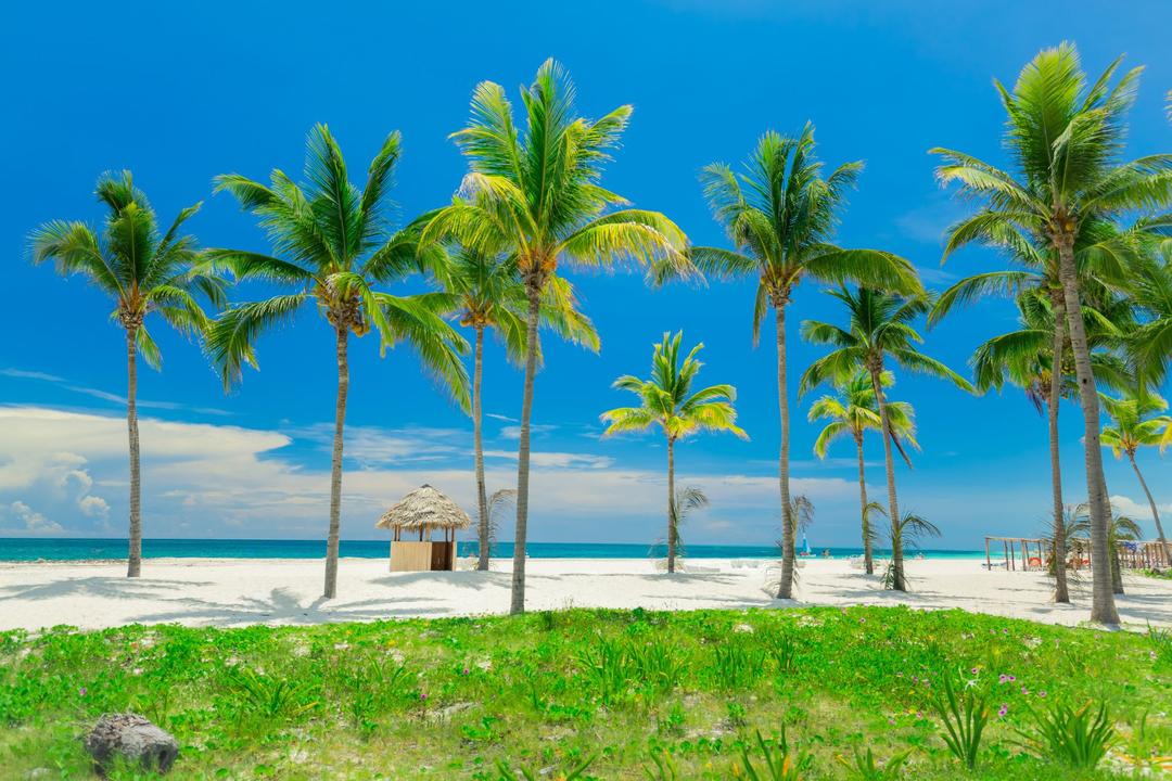 Cayo Cocoimage - 0