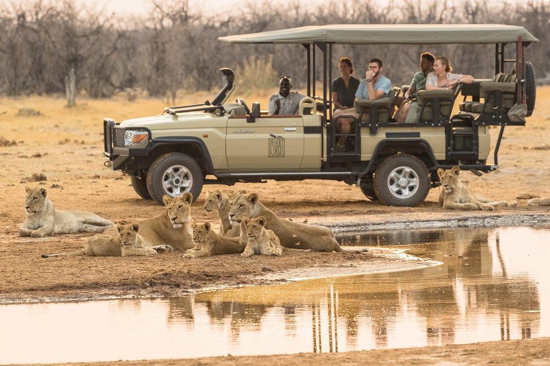 Central Kalahari Game Reserveimage - 1