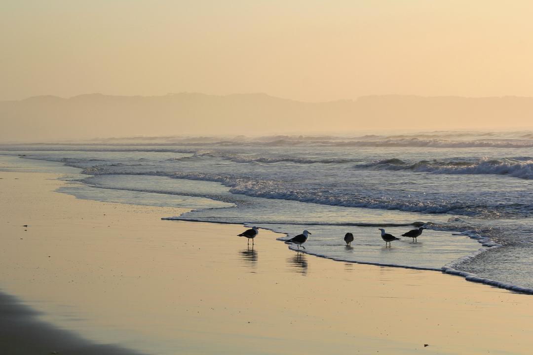 Chintsaimage - 1
