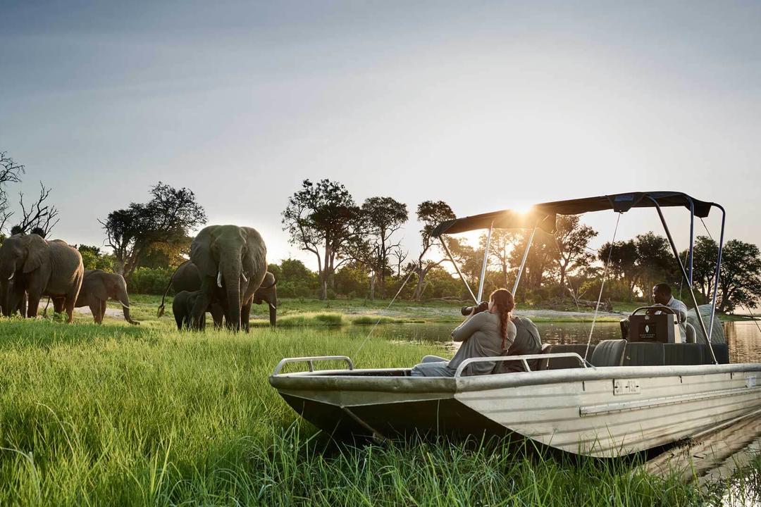Chobe nationalparkimage - 1
