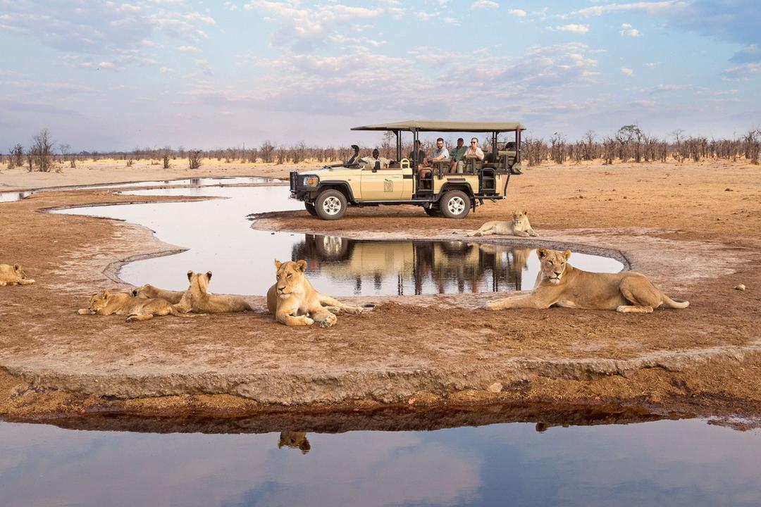 Savuti - Chobe nationalparkimage - 1
