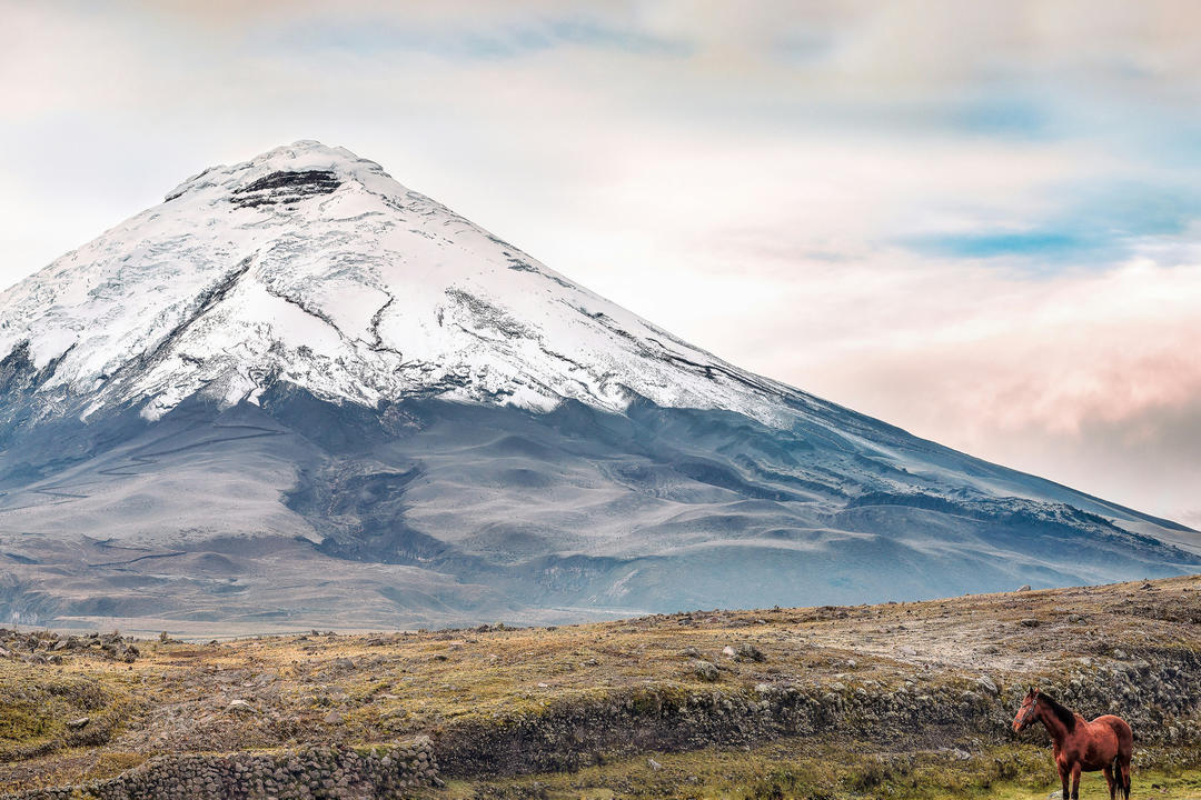 Cotopaxi National Parkimage - 1