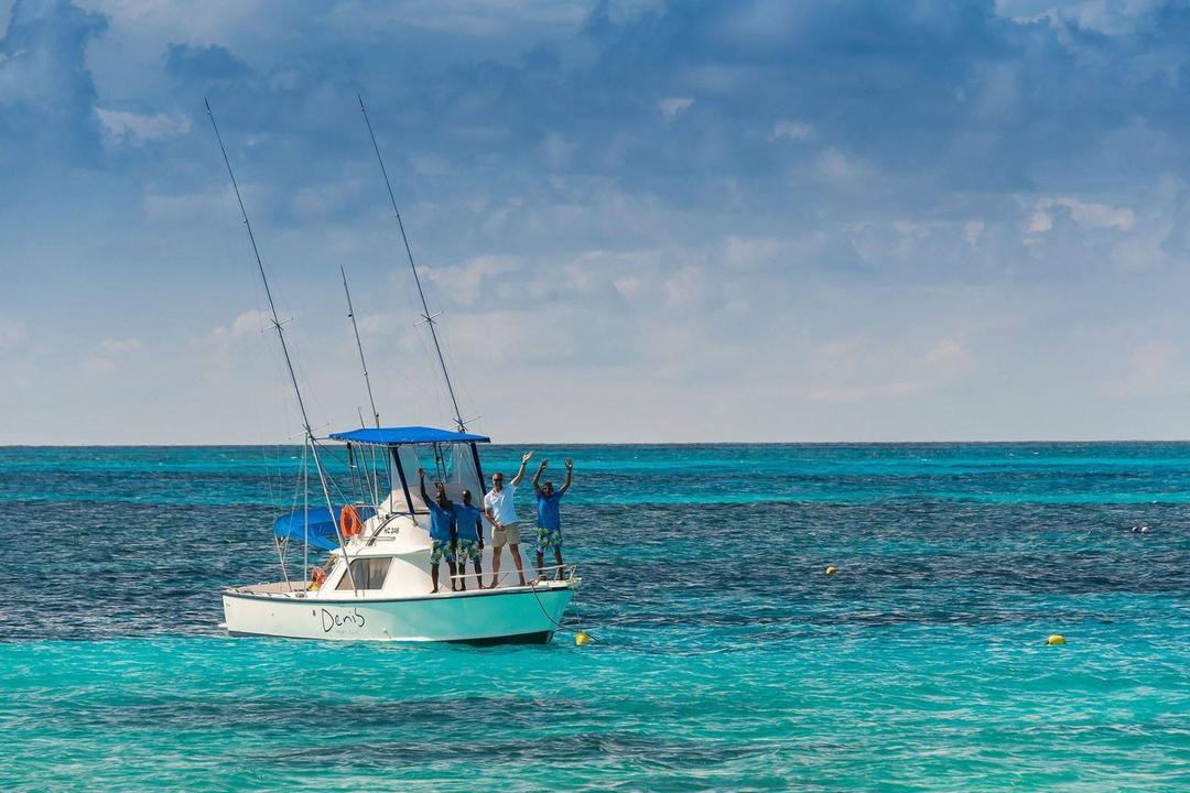 Denis Islandimage - 1