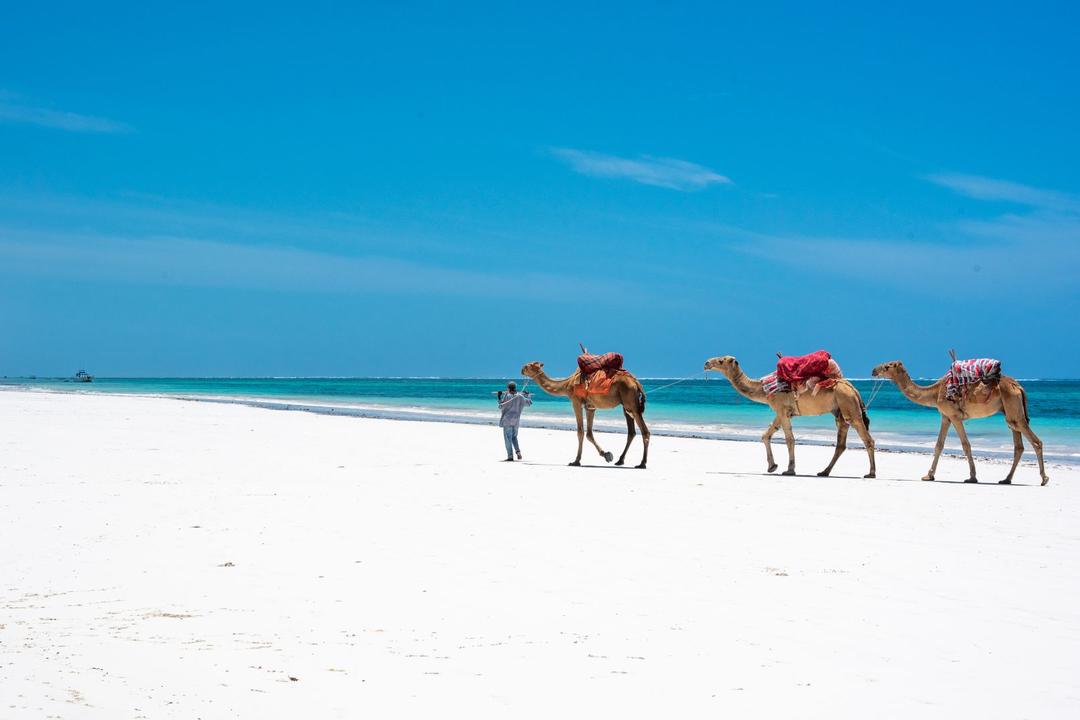 Diani Beachimage - 0