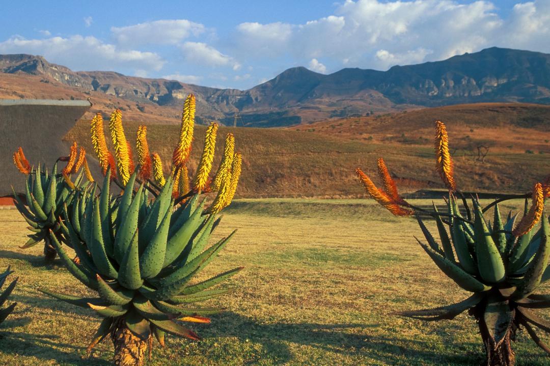 uKhahlamba Drakensberg Mountainsimage - 1