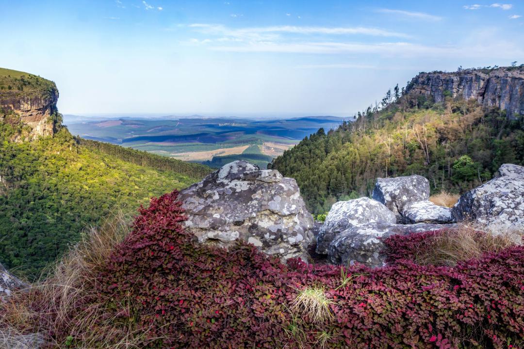 Hazyviewimage - 1
