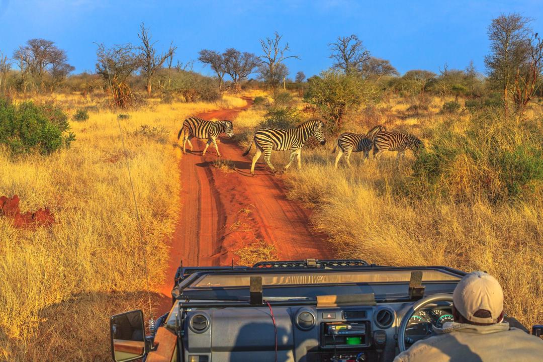 Västra Hwange nationalparkimage - 0