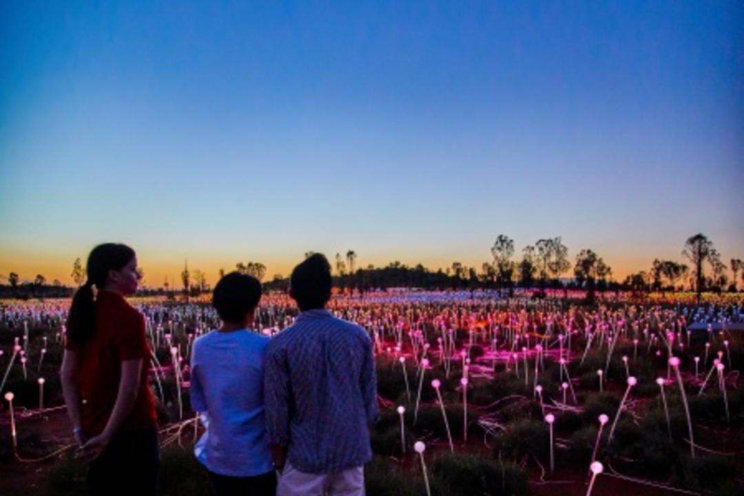 Field of Light och Ayers Rockimage - 0