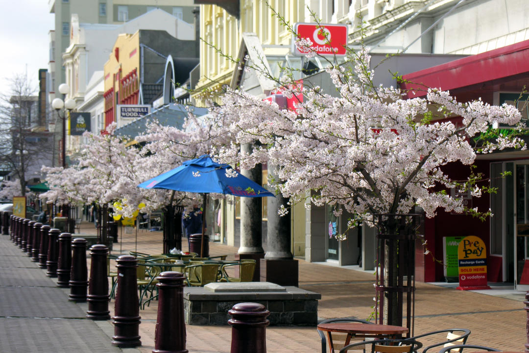 Invercargillimage - 0