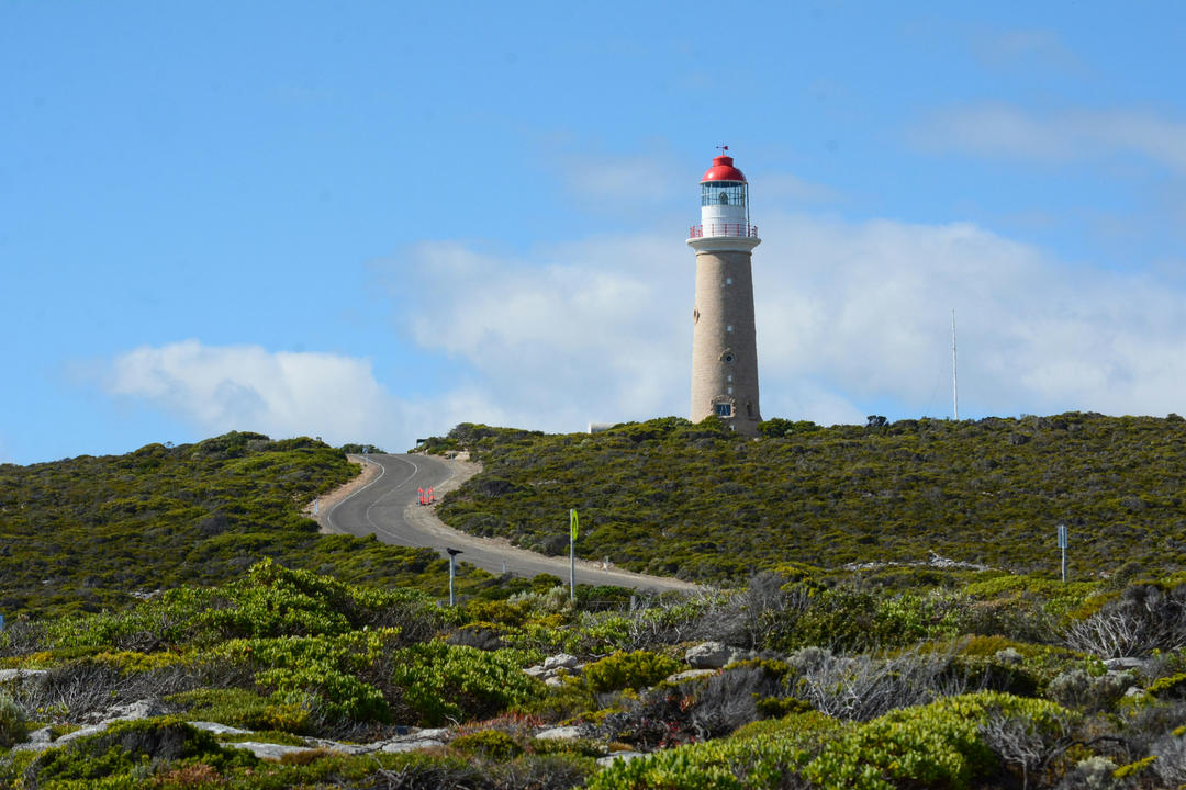 Kangaroo Islandimage - 1