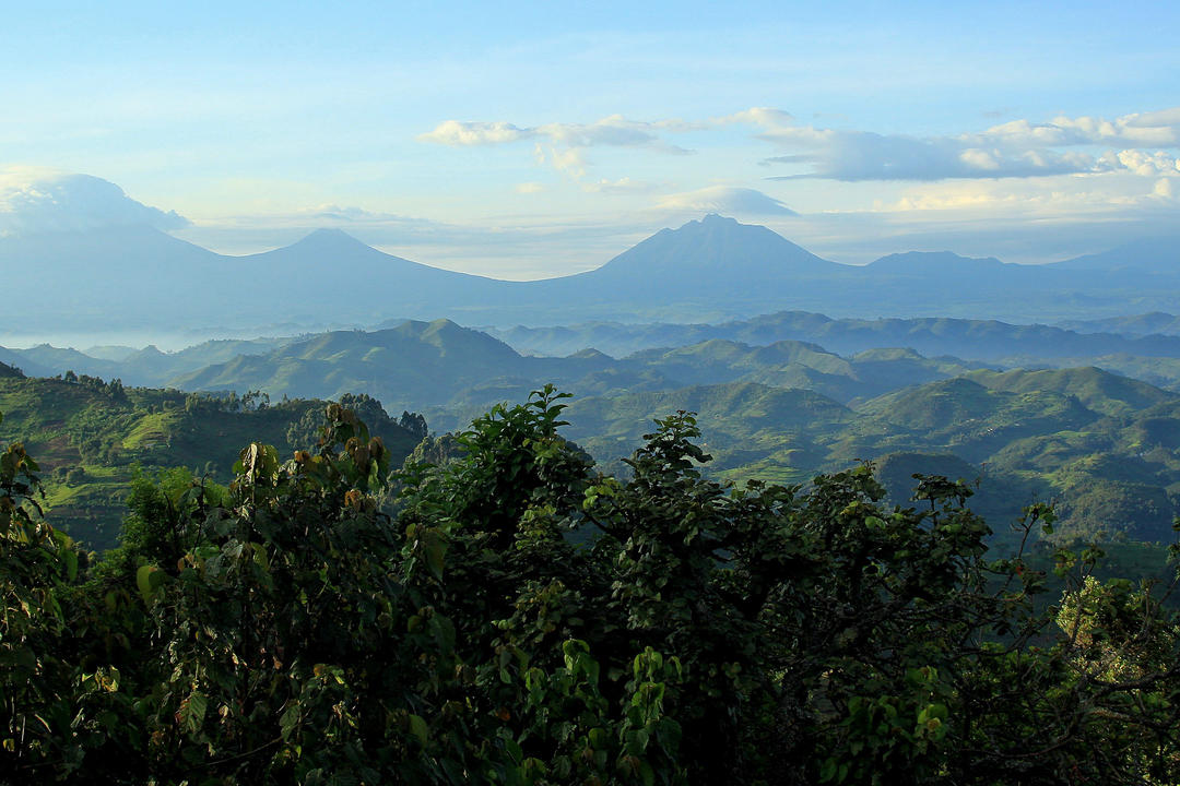 Kibale Forest National Parkimage - 0
