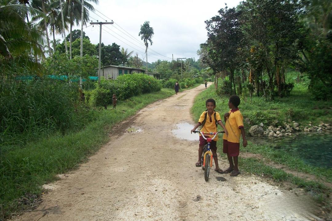 Kokopoimage - 1