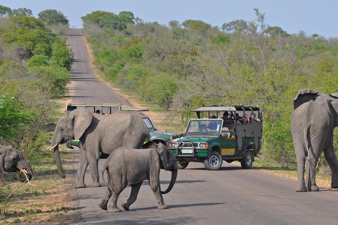 Limpopoimage - 1