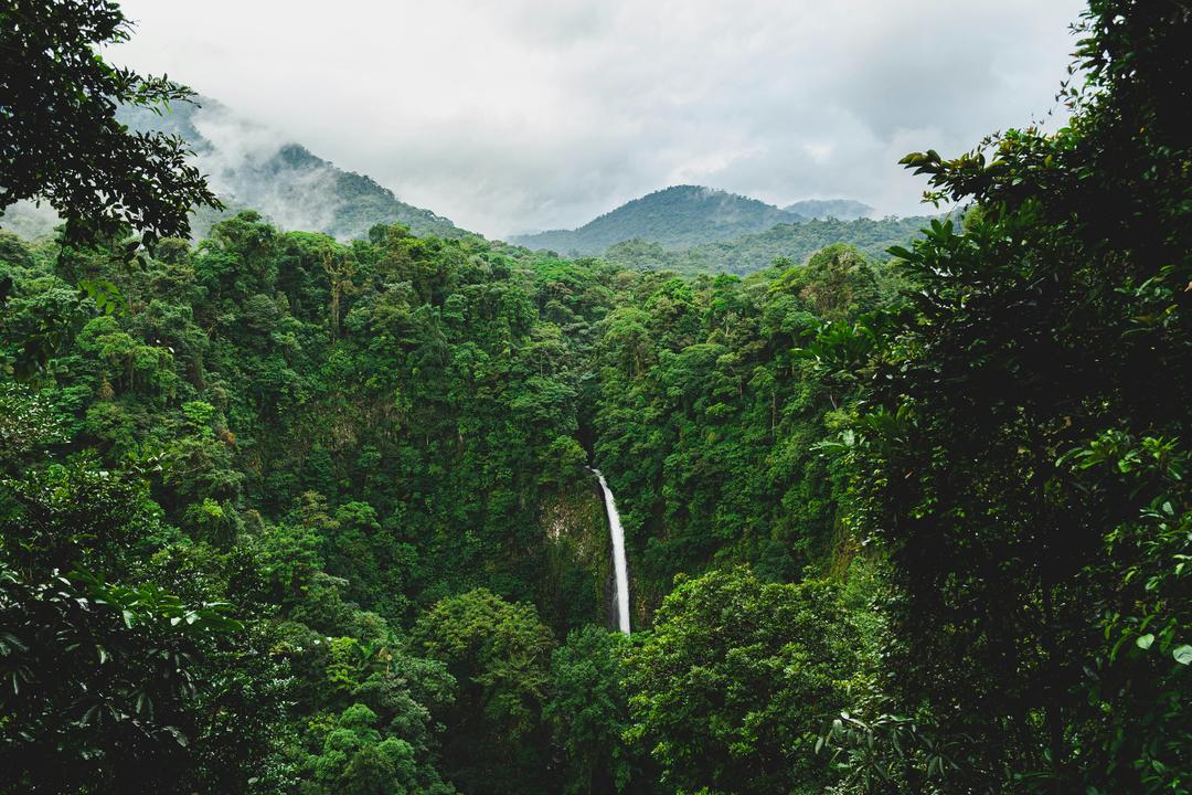 La Fortunaimage - 0
