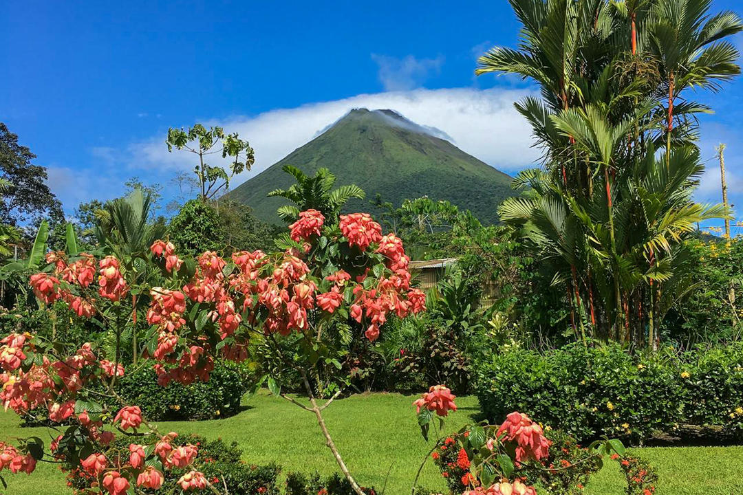 La Fortunaimage - 0