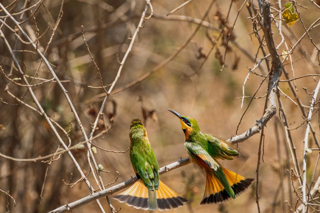 Lake Manyara National Parkimage - 1