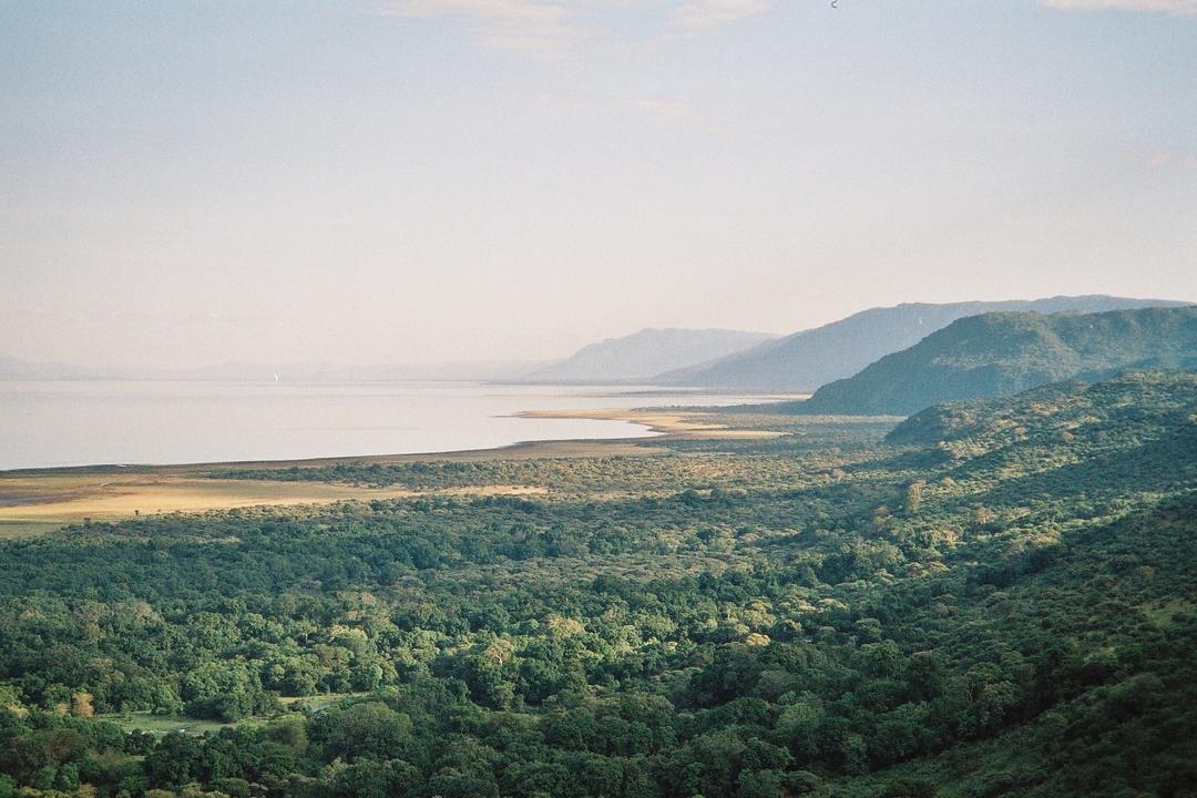 Serengeti National Parkimage - 1
