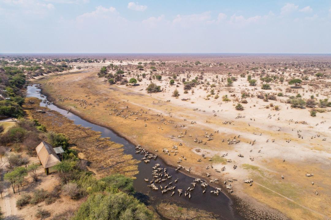 Boteti River - Makgadikgadi Pans National Parkimage - 0